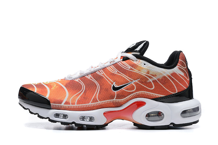 Air Max Plus TN 1 “Light Photograpy”