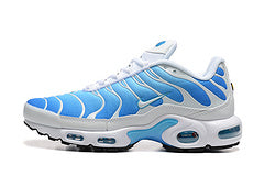 Air Max Plus TN 1 “University”